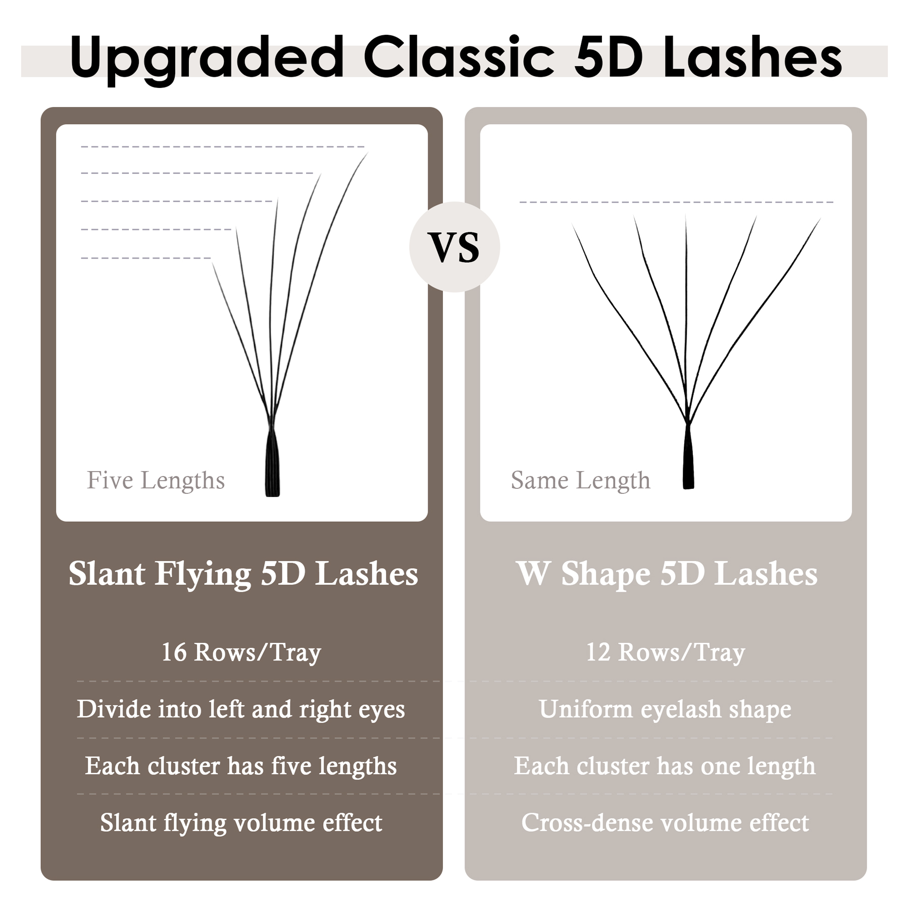 SEEDEW Fox 5D W-förmige Wimper – Eyelash Extension Yy Bewertung und Preis