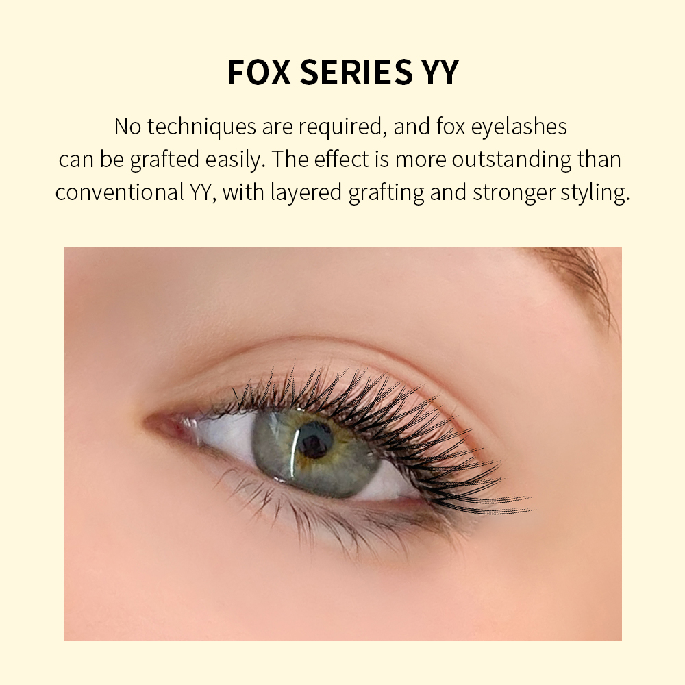 GLAMLASH Flying YY 3DW 4DW 5DW – Eyelash Extension Yy Bewertung und Preis