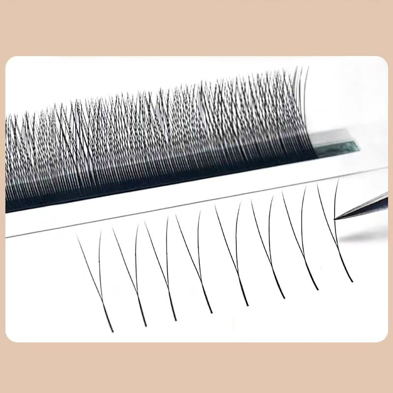 MARIA 2D Y-Form Wimpern Hand P – Eyelash Extension Yy Bewertung und Preis
