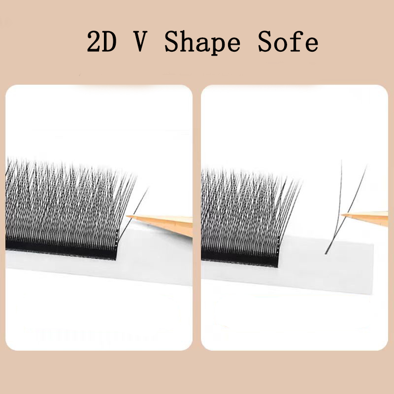 MARIA 2D Y-Form Wimpern Hand P – Eyelash Extension Yy Bewertung und Preis